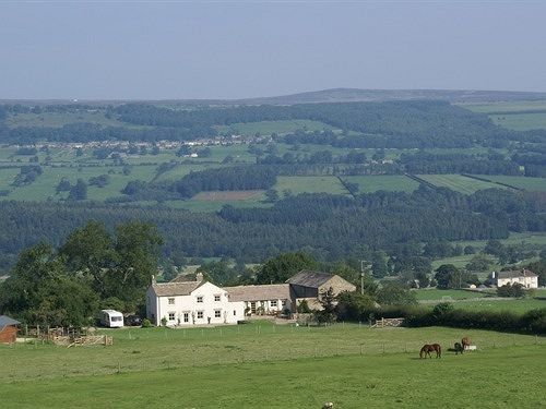 Capple Bank Farm Bed and Breakfast Wensley Exteriör bild